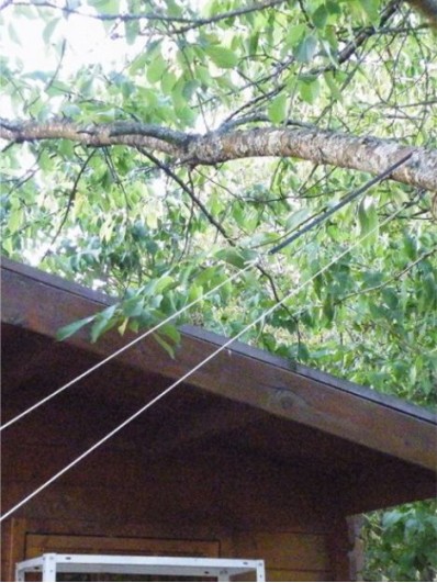 Tronçonneuse avec guidex